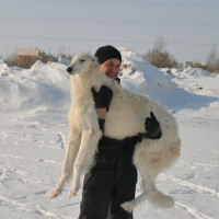 Сергей Немо, Санкт-Петербург, м. Василеостровская, 41 год