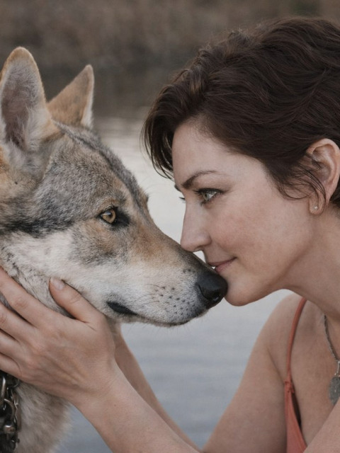 Волк живой, живет со мной 😉