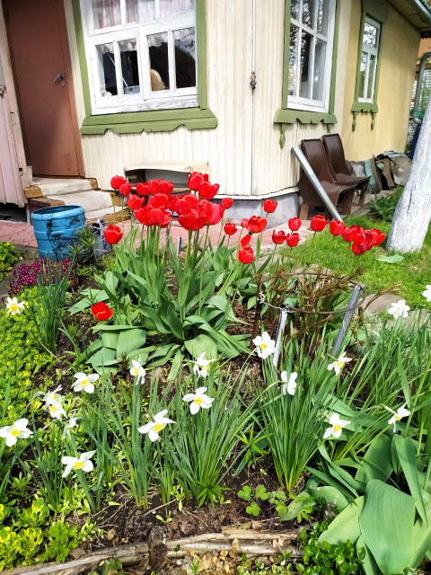 Галина, Москва, м. Бульвар Дмитрия Донского. Фото на сайте ГдеПапа.Ру