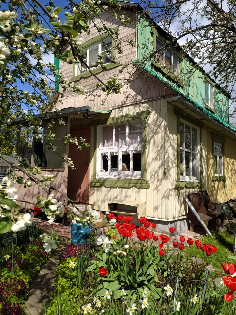 Моя любимая дачка.