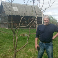 Юрий, Россия, Москва, 69 лет