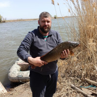 Сергей, Россия, Великий Новгород, 46