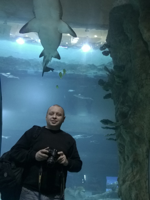 Дмитрий, Россия, Москва. Фото на сайте ГдеПапа.Ру