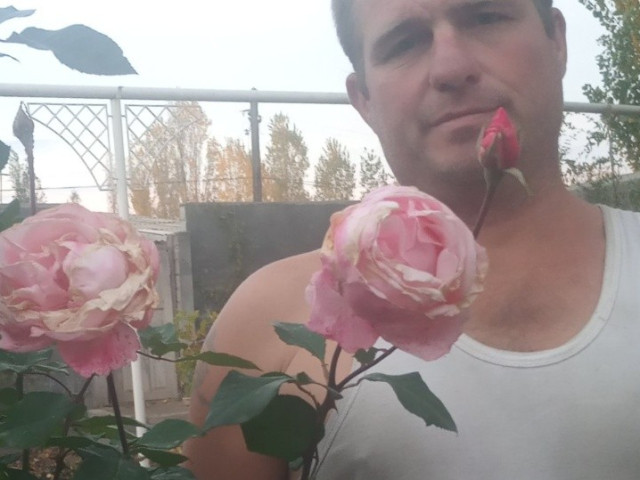 Михаил Газин, Узбекистан, Ташкент, 42 года. Познакомлюсь для создания семьи.