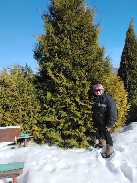 Ольга, Россия, Димитровград. Фото на сайте ГдеПапа.Ру