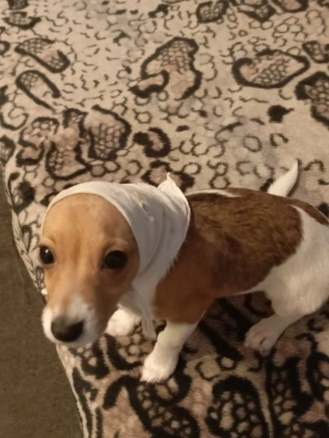 Алексус01, Россия, Москва. Фото на сайте ГдеПапа.Ру