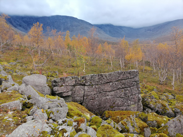 Мария, Россия, Санкт-Петербург. Фото на сайте ГдеПапа.Ру
