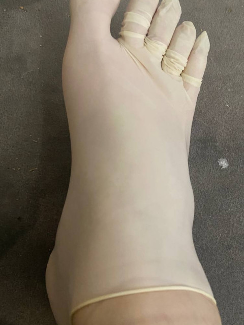 Felix, Санкт-Петербург, м. Беговая. Фото на сайте ГдеПапа.Ру