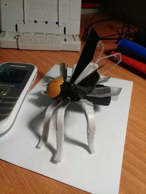 Аркадий Кудряшев, Россия, Новосибирск. Фото на сайте ГдеПапа.Ру