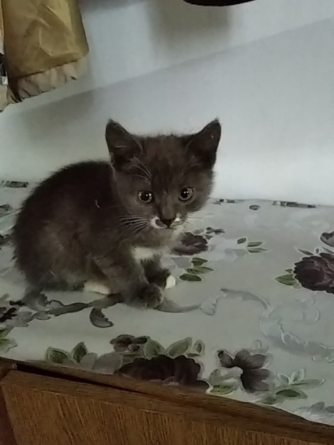 Александр, Россия, Рязань. Фото на сайте ГдеПапа.Ру