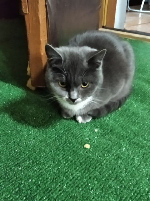 Александр, Россия, Рязань. Фото на сайте ГдеПапа.Ру