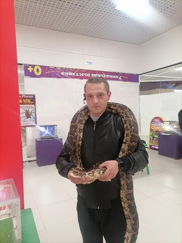 Максим Максимов, Россия, 36 лет, 1 ребенок, 1 фото. веселый верный добрый по характеру спокойный