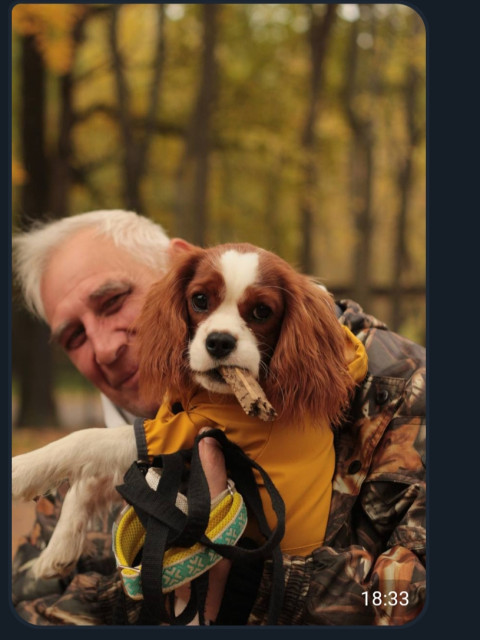 Мих Абр, Россия, Алчевск, 57 лет, 1 ребенок. Ищу: Серьёзные отношения  Анкета 881685. 