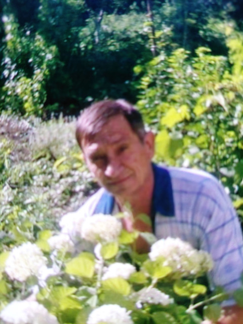 Виктор Фролов, Россия, Краснодар. Фото на сайте ГдеПапа.Ру