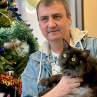 Александр, Россия, Санкт-Петербург, 38 лет