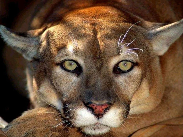 Сергей, Россия, Джанкой. Фото на сайте ГдеПапа.Ру