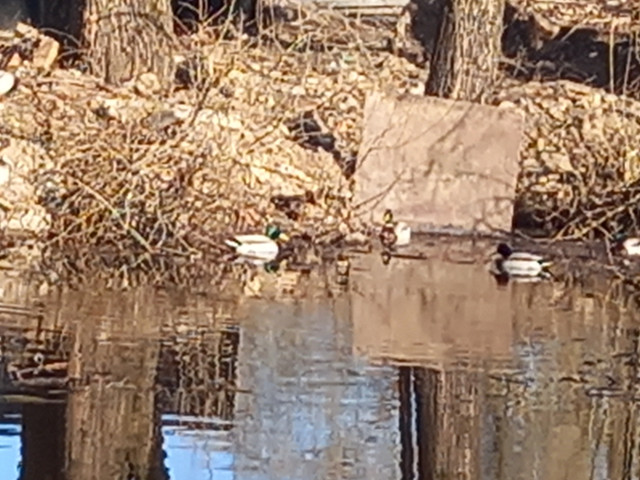 Владимир, Россия, Великий Новгород. Фото на сайте ГдеПапа.Ру