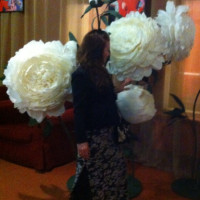 Мария, Санкт-Петербург, м. Озерки, 55 лет