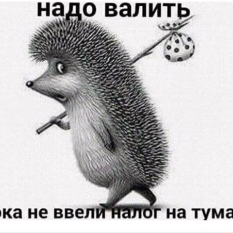 Виктор Конфектов, Москва, 43 года, 1 фото. Сайт одиноких мам и пап ГдеПапа.Ру