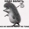 Виктор Конфектов, Москва, 43