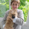 Наталья, 46, Россия, Москва