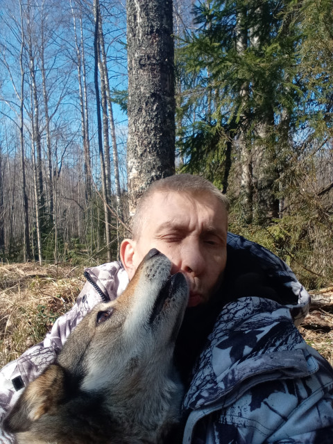 Никколя, Россия, Петрозаводск. Фото на сайте ГдеПапа.Ру