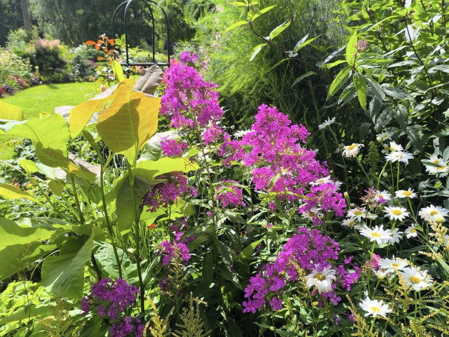 Geliano Moradi, Австрия, Вена. Фото на сайте ГдеПапа.Ру