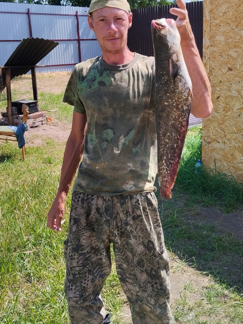 Алексей, Россия, Павловский Посад, 43 года. Ищу: Хорошею понятливою  Анкета 884124. 