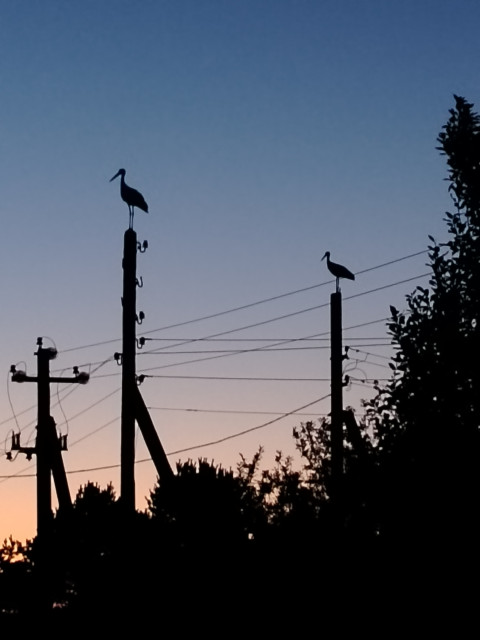 Мирослав, Россия, Москва, 49 лет, 3 ребенка. Познакомиться с парнем из Москвы