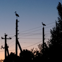 Мирослав, Россия, Москва, 49 лет