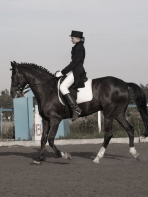 Диана, Россия, Новосибирск. Фото на сайте ГдеПапа.Ру