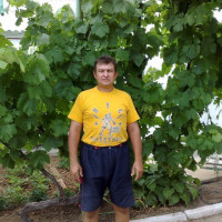 Александр Дубченко, Россия, Крымск, 60 лет