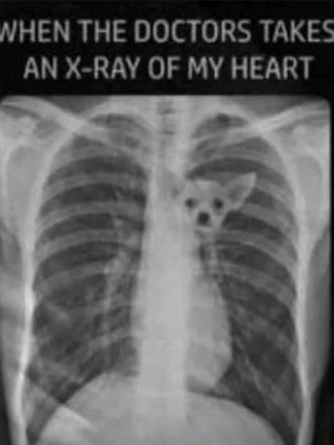 Татьяна, Россия, Москва. Фото на сайте ГдеПапа.Ру