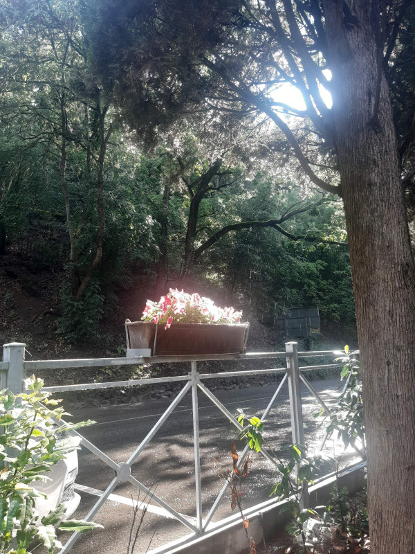 Алушта после дождя