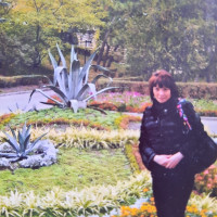 Верона, Россия, Москва, 51 год