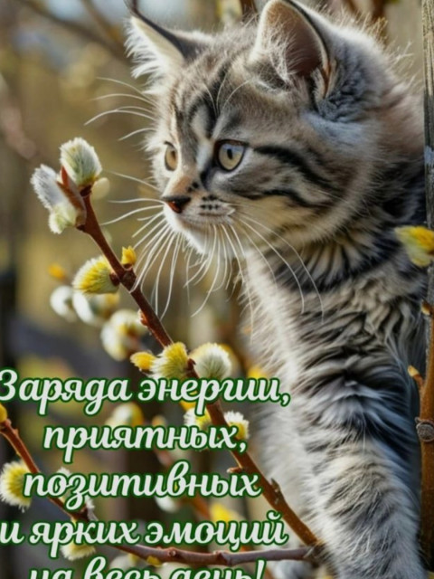 Елена, Москва, м. Лианозово. Фото на сайте ГдеПапа.Ру