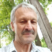 Владимир, Москва, м. Медведково, 71 год