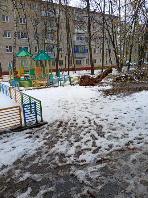 Коля, Москва, 45 лет, 1 фото. Сайт одиноких мам и пап ГдеПапа.Ру