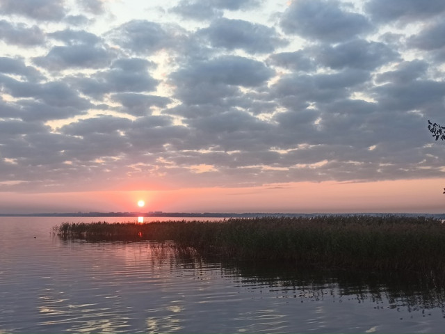Артем Витком, Беларусь, Витебск. Фото на сайте ГдеПапа.Ру