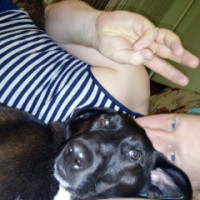 Алексей Горбунов, Балаково, 48 лет