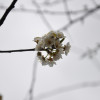 Игорь Яскивка, Россия, Химки. Фотография 1780558