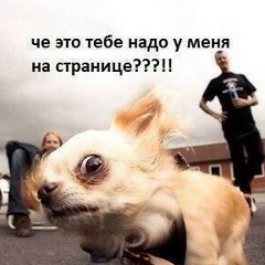Георгий Войченко, Славянск-на-Кубани, 43 года, 1 ребенок, 1 фото. Сайт одиноких отцов GdePapa.Ru