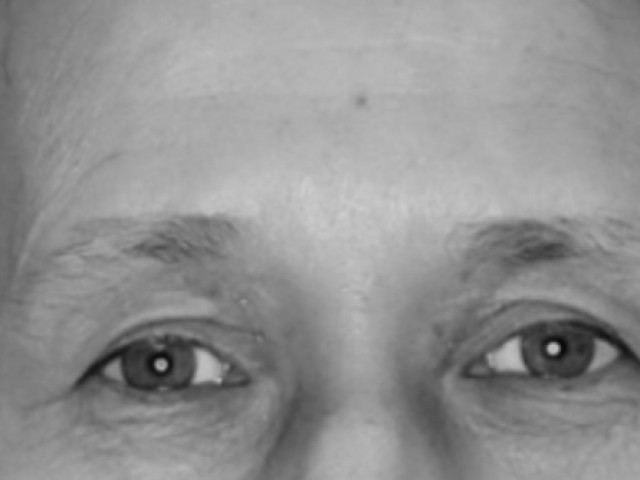 Ирина Григорьева, Россия, Вел. Новгород, 60 лет, 4 ребенка. Ищу: без вредных для здоровья окружающих привычек. 
больших мужчин - боюсь  Анкета 888407. 