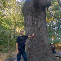 Андрей, Россия, Воронеж, 36 лет