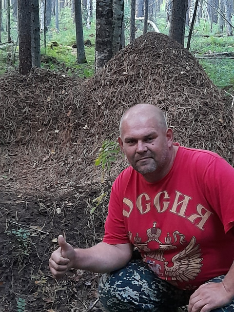 Александр, Россия, Волжский, 48 лет, 3 ребенка. Хочу познакомиться с женщиной