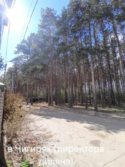 Станислав, Россия, Благовещенск. Фото на сайте ГдеПапа.Ру