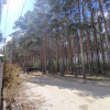 Станислав, Россия, Благовещенск. Фотография 1783085