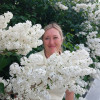 Светлана, 50, Россия, Москва