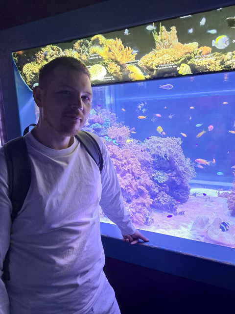 Илья, Москва, 28 лет, 1 фото. Познакомлюсь с женщиной для любви и серьезных отношений.  Анкета 892664. 
