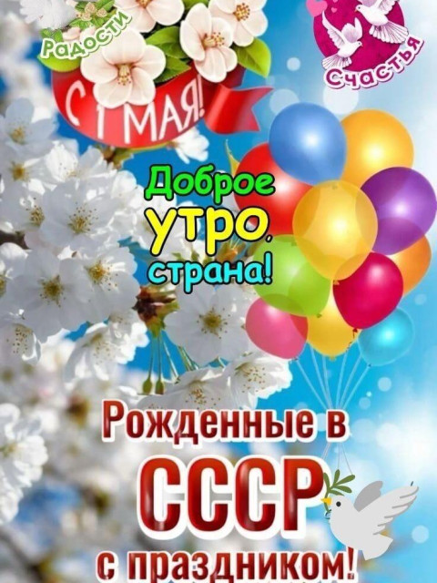 Николай, Беларусь, Минск. Фото на сайте ГдеПапа.Ру